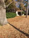 515 W Lee Ave photo